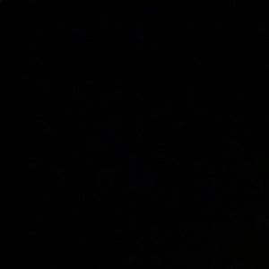 Meet your Posher, Nyra